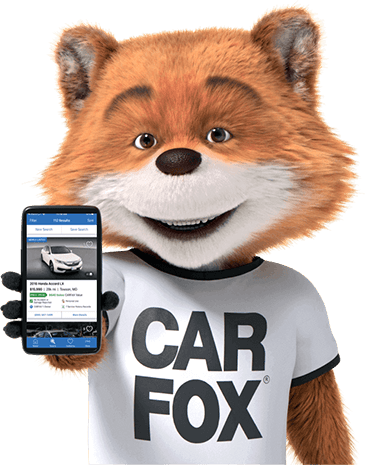 Car Fox holding a phone