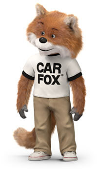 Car fox