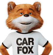 carfox looking up
